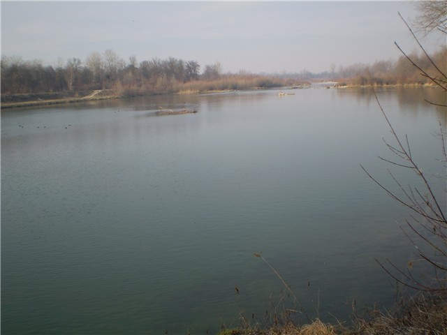 Drava